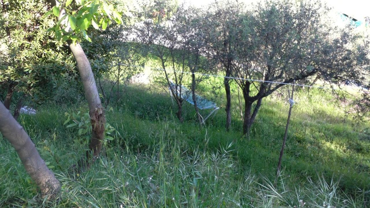 Cinque Terre Tra Il Filo Di Arianna Acomodação com café da manhã Riccò del Golfo di Spezia Exterior foto